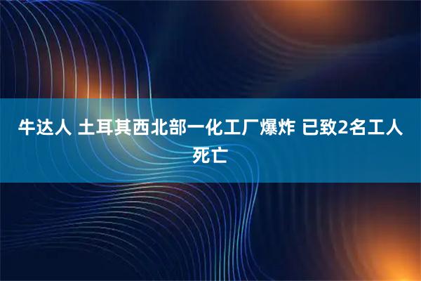 牛达人 土耳其西北部一化工厂爆炸 已致2名工人死亡
