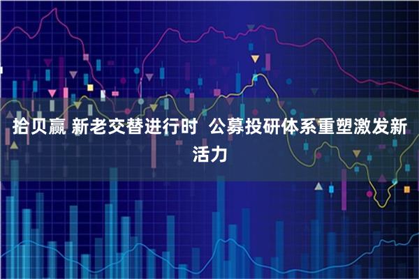 拾贝赢 新老交替进行时  公募投研体系重塑激发新活力