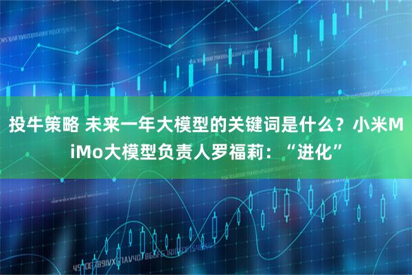 投牛策略 未来一年大模型的关键词是什么？小米MiMo大模型负责人罗福莉：“进化”